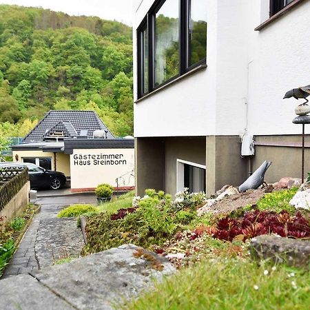 Gaestehaus Steinborn 호텔 하임바흐 외부 사진